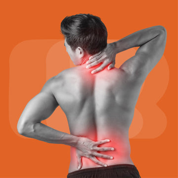 A Comprehensive Guide to Understanding and Treating Neck Pain